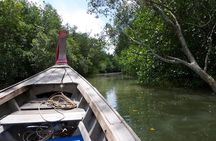 Mangrove Boat Tour in Krabi
