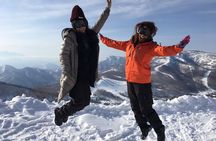 1-Day Snow Monkeys & Snow Fun in Shiga Kogen Tour