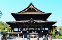 1-Day Snow Monkeys, Zenko-ji Temple & Sake in Nagano