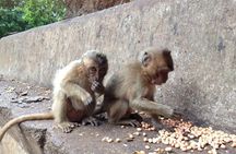 Khao Lak : Full-Day Temple Tour Including Dragon Cave