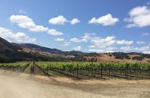 Santa Barbara Wine Lovers Tour