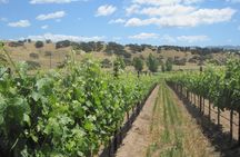 Santa Barbara Wine Lovers Tour