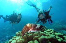 Diving At Galleon and Chimney From Marmaris