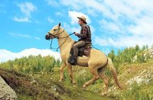 Equestrian experience - Peruvian paso Horse