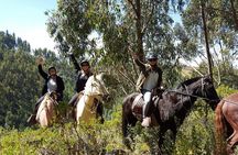 Half day Horseback Riding tour around Sacsayhuaman park