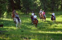 Horseback Riding Plus Tour to Sacsayhuaman, Quenqo, Puka Pucara and Tambomachay
