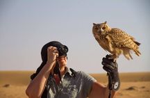 Falcon 1—Private Dubai Falconry Safari