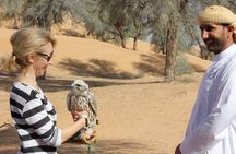 Small-Group Tour: Falcon 2—Dubai Falconry Safari