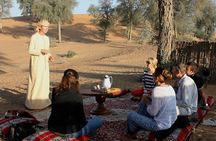 Small-Group Tour: Falcon 2—Dubai Falconry Safari