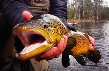 Guided Fishing Trip in Jackson Hole