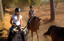 Horse Riding Excursion from Seville