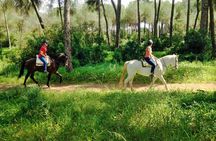Horse Riding Excursion from Seville