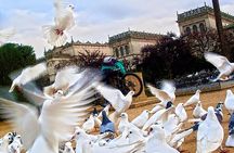 Seville Panoramic Walking Tour