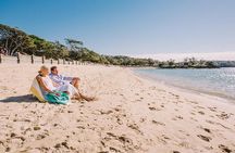 Sydney Shore Excursion: Half-Day Sydney City Highlights with Bondi Beach and Watsons Bay