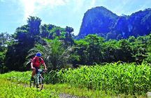 3-in-1 Ultimate Borneo Expedition Adventure