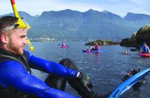 Snorkel, Kayak, and Seal Adventure: Vancouver Boat Tour