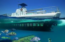  Aruba Semi-Submarine Cruise from Palm Beach