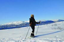 Guided Morning Snowshoe Hike with Huskies