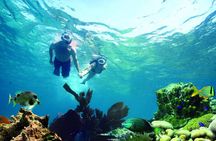 Key West Reef Snorkel – Morning Mimosas or Afternoon Margaritas