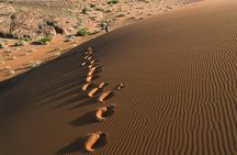 Private Tour: Petra and Wadi Rum Day Trip from Dead Sea
