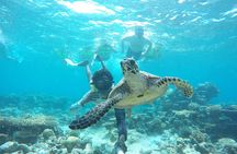 Sandbank Snorkeling and Sunset Cruise