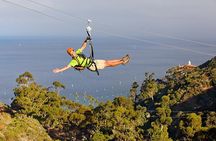 Catalina Island Zip Line Eco Tour