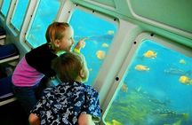 Undersea Expedition: Catalina Island Tour