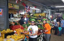Private Full-Day Bike Tour of Santiago Cultural 5-6 hrs