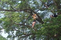 St. Lucia Morne Coubaril Estate Zipline Experience