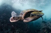 7 Days Diving and Hiking on the Galapagos Islands Tour