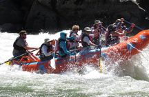 Riggins Idaho 1-day Rafting Trip on the Salmon River