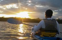Bio-Luminescence and Sunset Kayak Tour