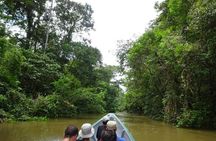 Cuyabeno 4 Day Jungle Tour