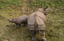 Classic Nepal Tour