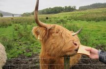 1 Day Tour from Inverness - Isle of Skye, Fairy Pools, and Eilean Donan Castle 