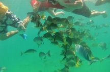 Private Snorkel Cruise in Cabo San Lucas