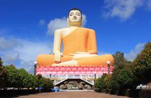 Bentota Village Tour with River Safari & Tea Plantation/Factory - All Inclusive