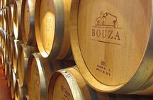 Bouza Winery only Lunch (Esp, Eng, Port)