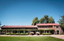 Bouza Winery Tastings and Tapas (Esp, Eng, Port)