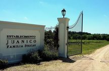 Juanico Wine Tour Lunch