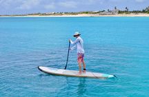 St. Maarten: Fun in the Sun Catamaran Day Trip