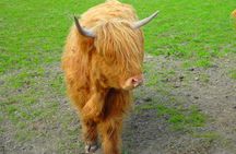 Loch Ness & Culloden Battlefield Private Tour from Inverness