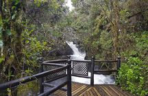 Termas de Papallacta Hot Springs full day tour from Quito