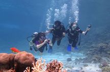 Intro Diving In Sharm El Sheikh