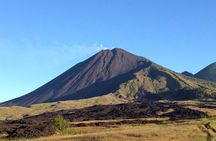 Pacaya Volcano Excursion from Guatemala City