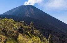 Pacaya Volcano Excursion from Guatemala City