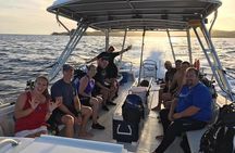 Sunset Night Dive for Certified Divers in St Thomas