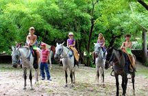 Horseback Riding Jungle and Beach in Playa Flamingo