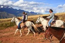 Half Day - City Horse Traditional Riding Tour Group Service