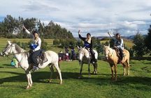 Half day: City Horse Riding - Mistic Tour - Group Service 